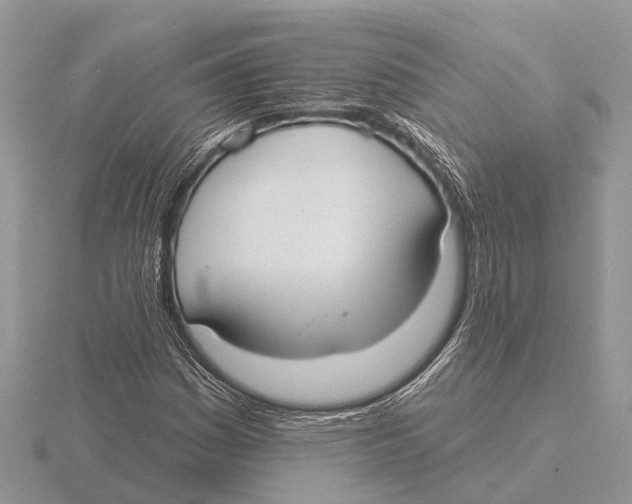 X0000115691161200912101148
