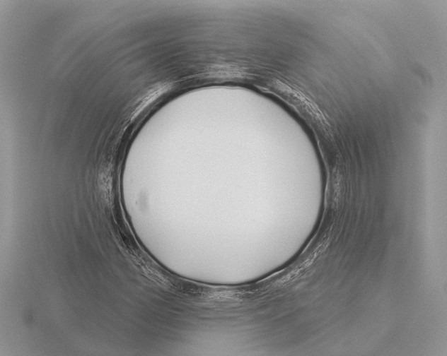 X0000115691162200912101148
