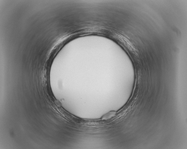 X0000115691164200912101148