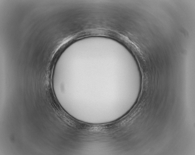 X0000115691166200912101148