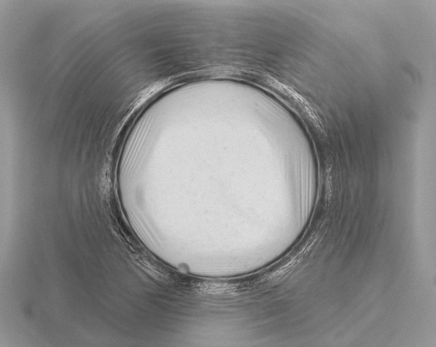 X0000115691170200912101148