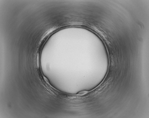 X0000115691171200912101147