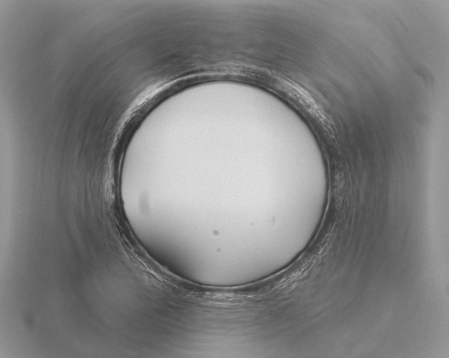 X0000115691172200912101147
