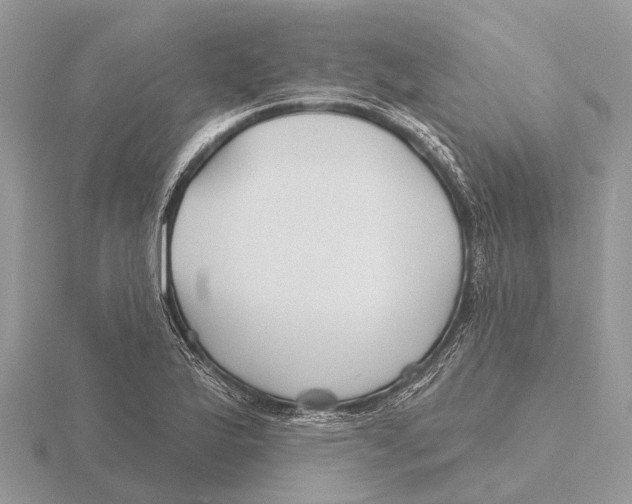 X0000115691175200912101147