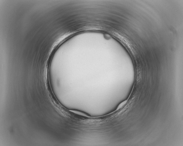 X0000115691179200912101147