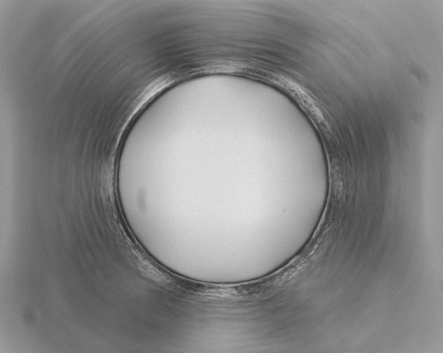 X0000115691186200912101147