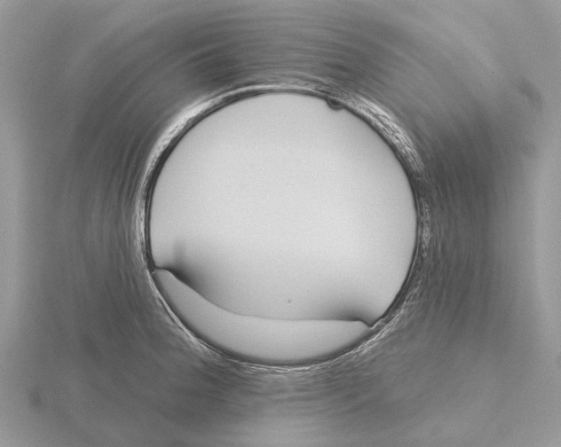 X0000115691188200912101147