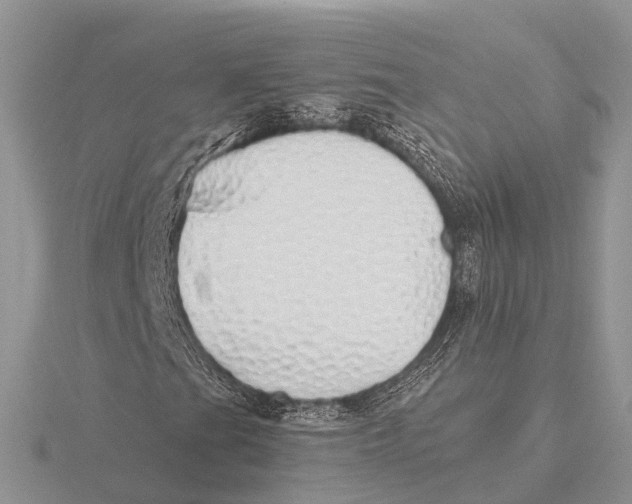 X0000115691201200912101147