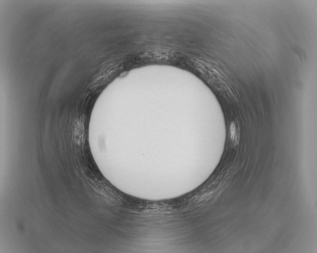 X0000115691203200912101147