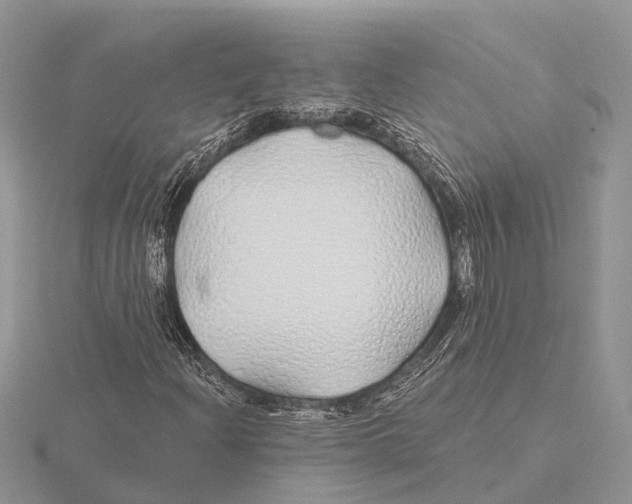 X0000115691204200912101147