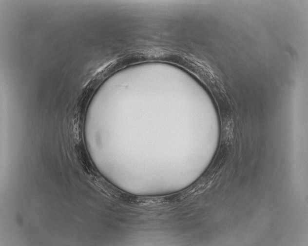 X0000115691205200912101147