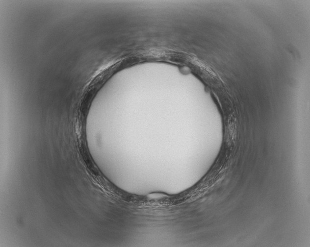 X0000115691206200912101147