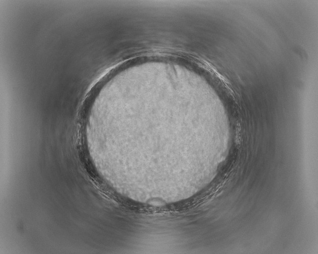 X0000115691208200912101147