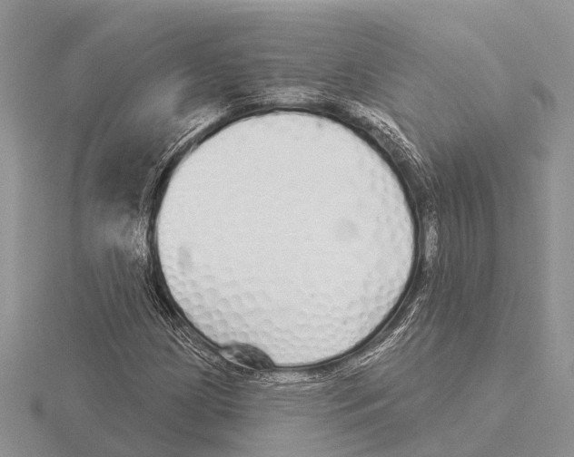 X0000115691209200912101147