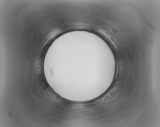 X0000115691211200912101147