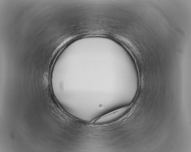 X0000115691212200912101147