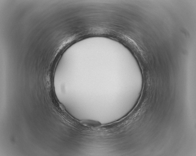 X0000115691218200912101147