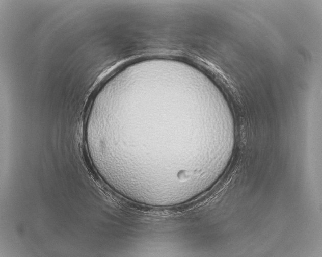 X0000115691220200912101147
