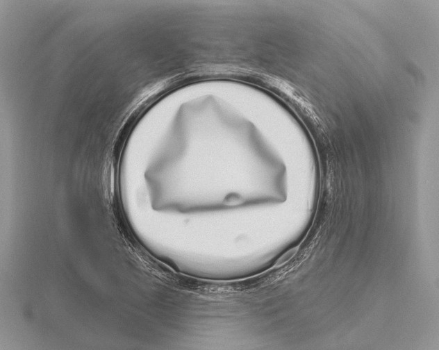 X0000115691221200912101147