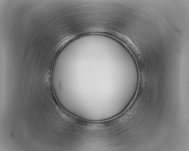 X0000115691225200912101147