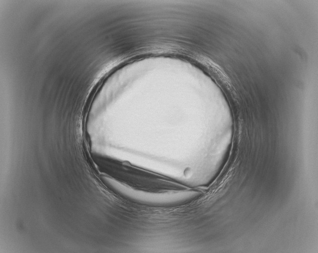 X0000115691226200912101147