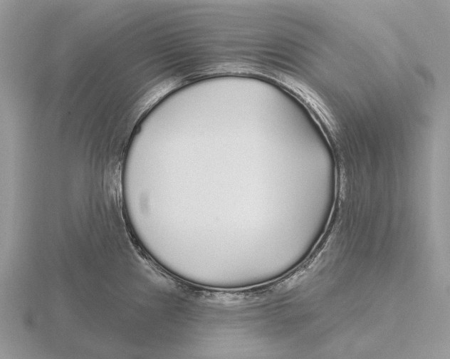 X0000115691241200912101147