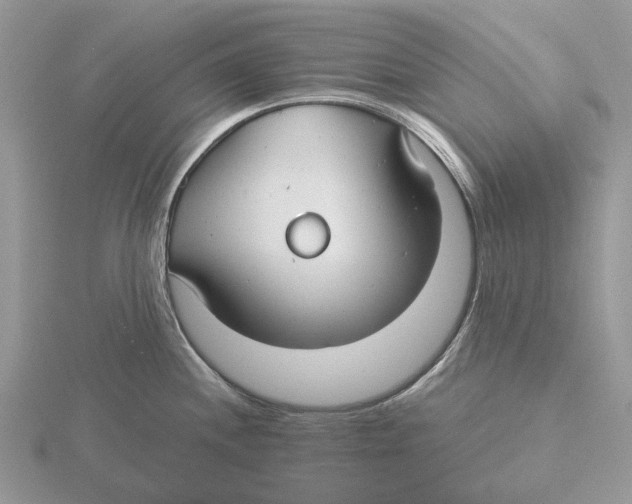 X0000115691244200912101147