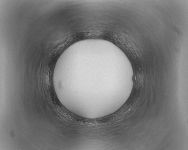 X0000115691250200912101146