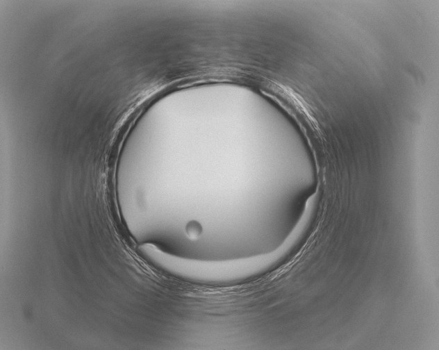 X0000115691260200912101146