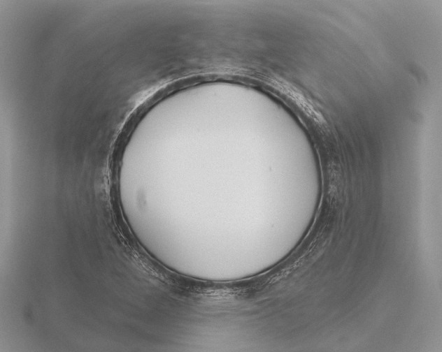 X0000115691264200912101146