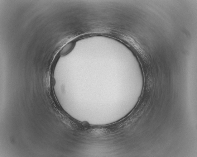 X0000115691268200912101146