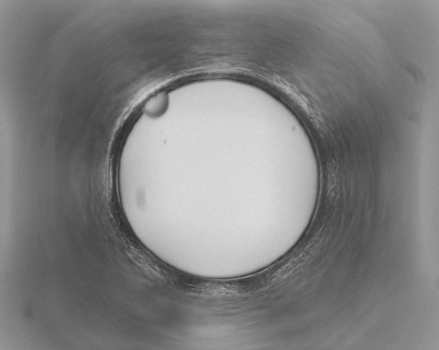 X0000115691270200912101146