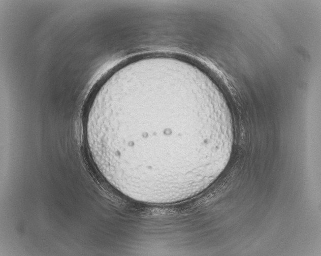 X0000115691271200912101146