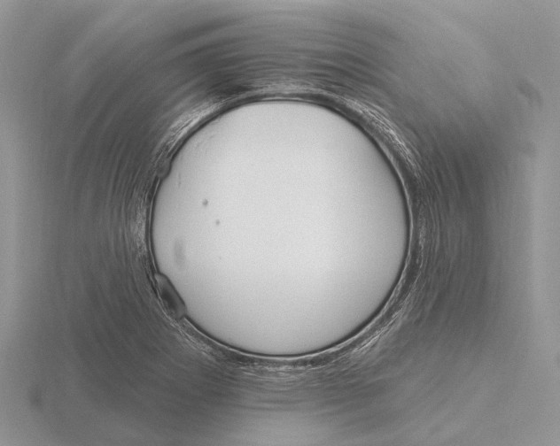 X0000115691273200912101146