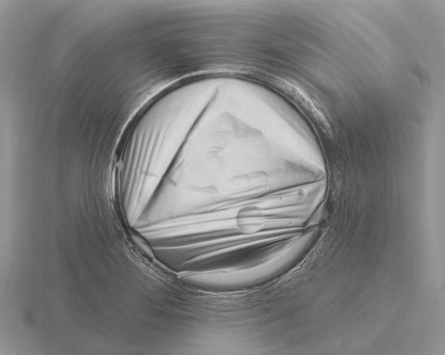 X0000115691276200912101146