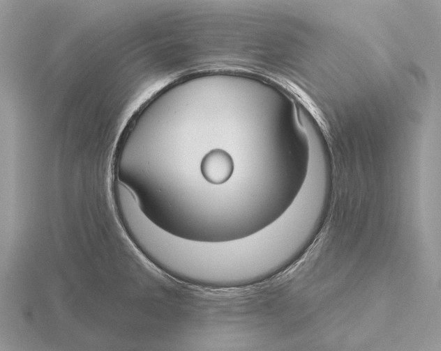 X0000115691285200912101146