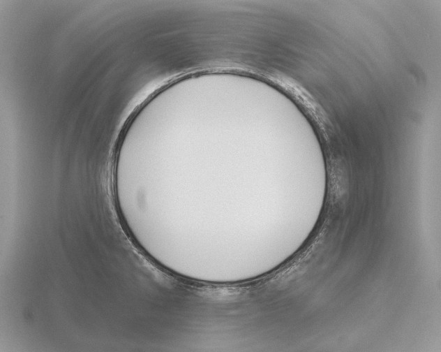 X0000115691286200912101146