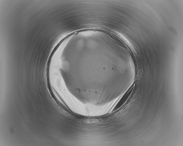 X0000115691291200912101146