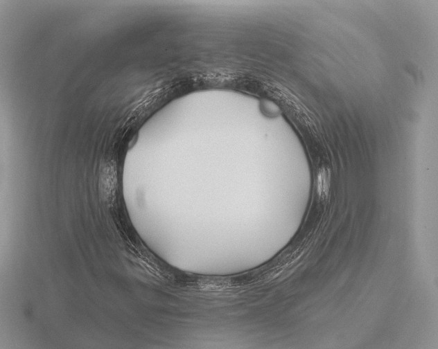 X0000115691299200912101145