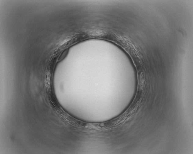 X0000115691301200912101145