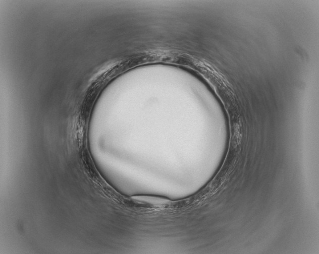X0000115691302200912101145