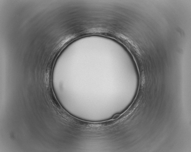 X0000115691313200912101145