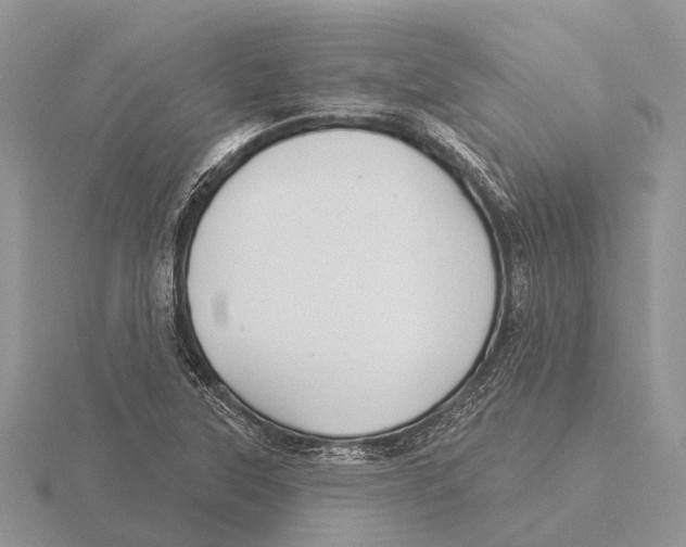X0000115691315200912101146