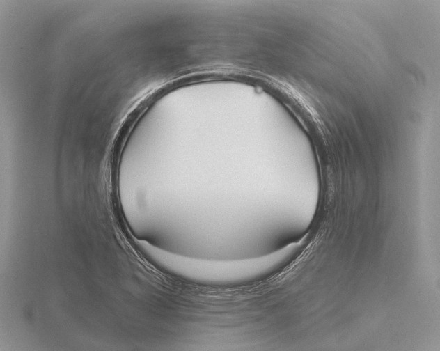 X0000115691318200912101146