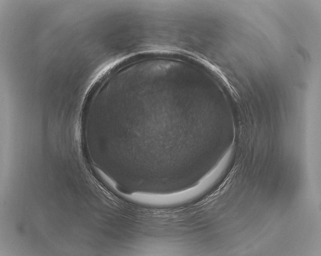 X0000115691319200912101146