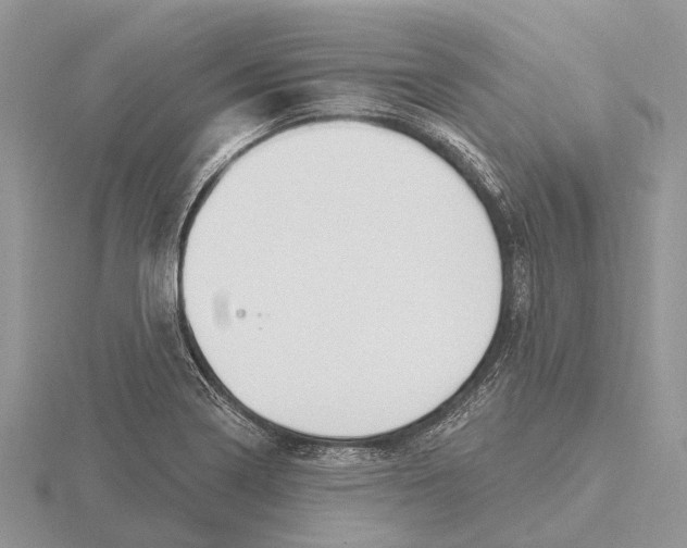 X0000115691322200912101146