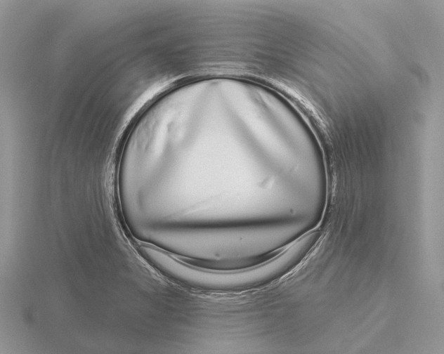 X0000115691325200912101146