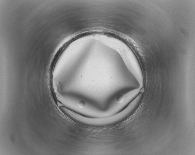X0000115691326200912101146