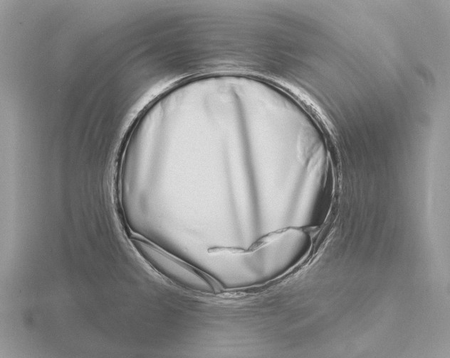X0000115691333200912101146