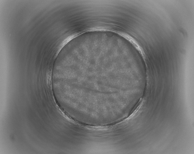 X0000115691337200912101146